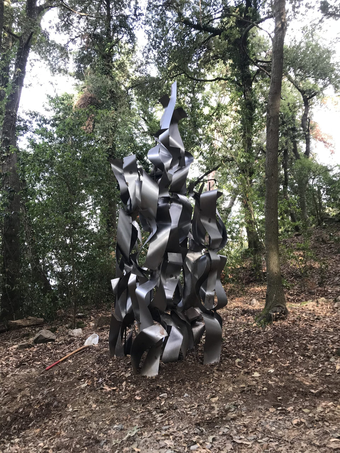 Morte e rinascita di un albero