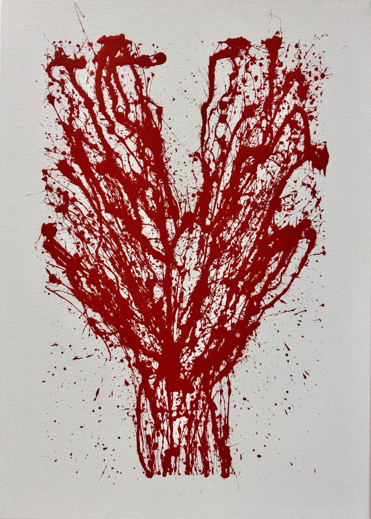 Corallo, rosso semaforo