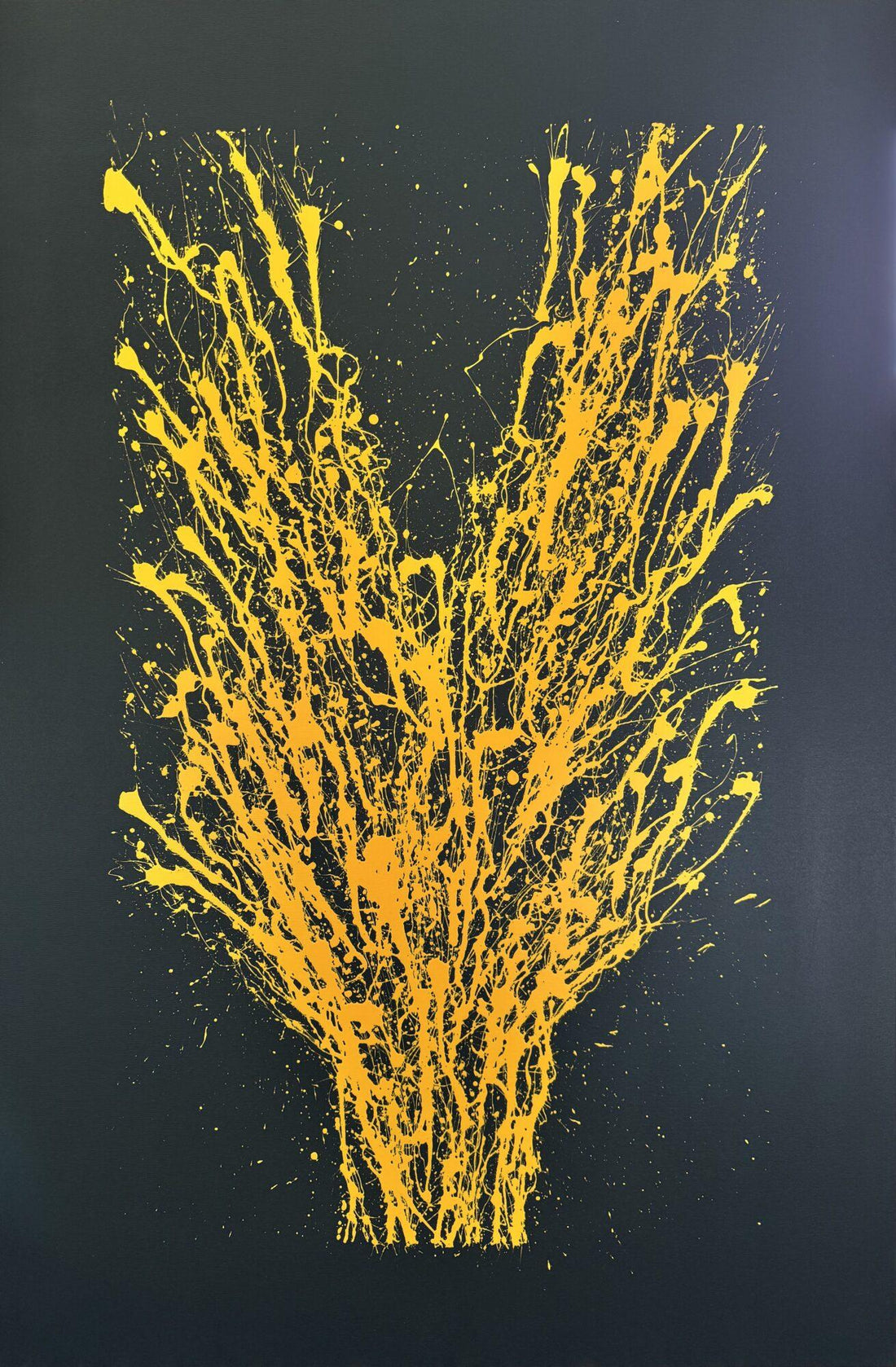 Serre Torrigiani 01