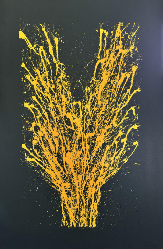 Serre Torrigiani 01