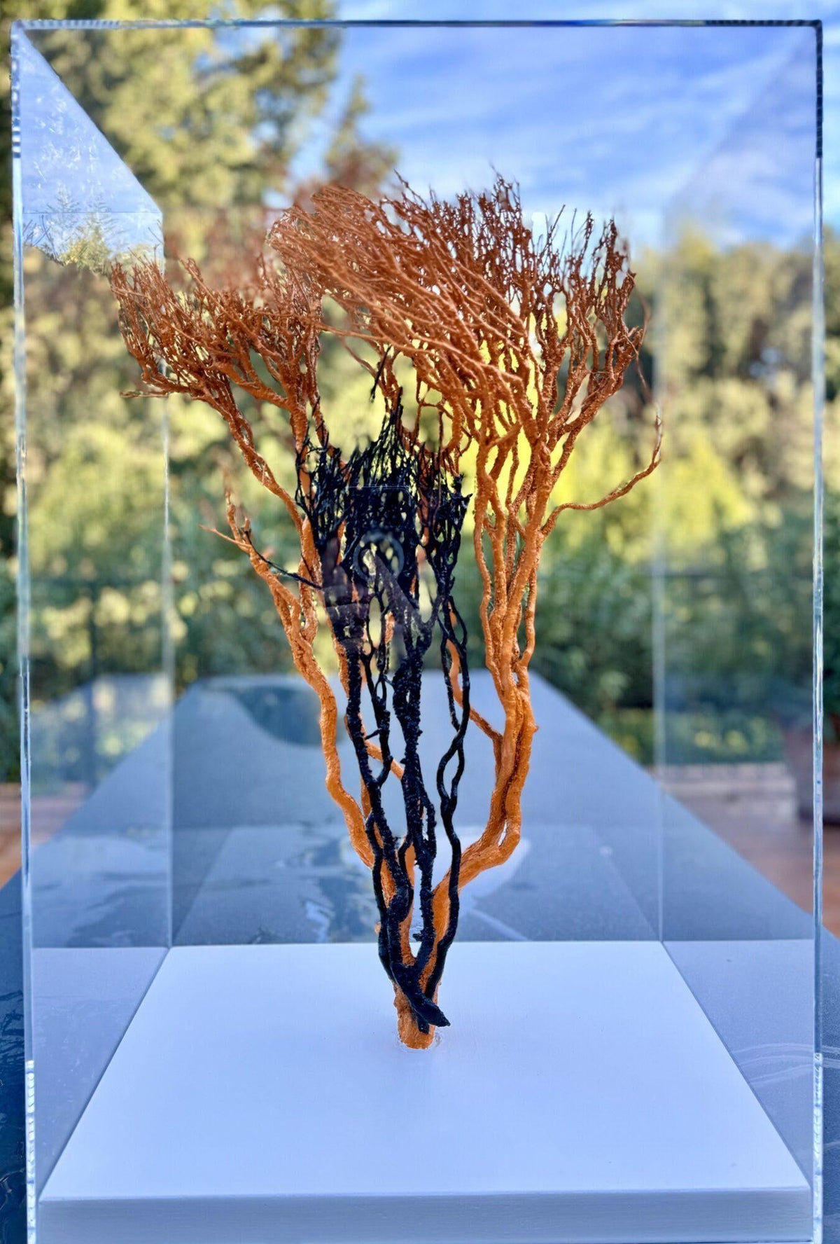 Natura E' Arte