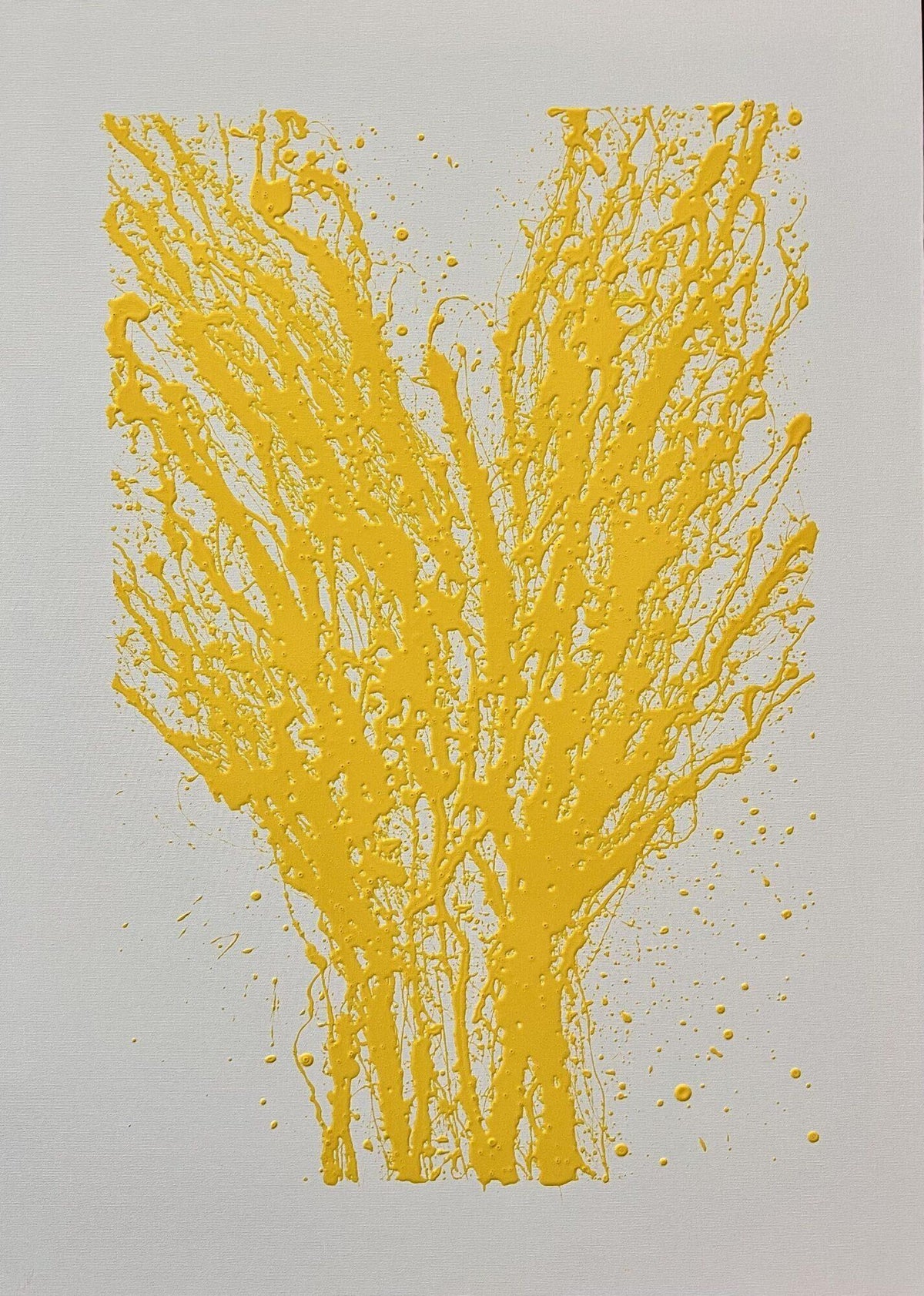 Alba