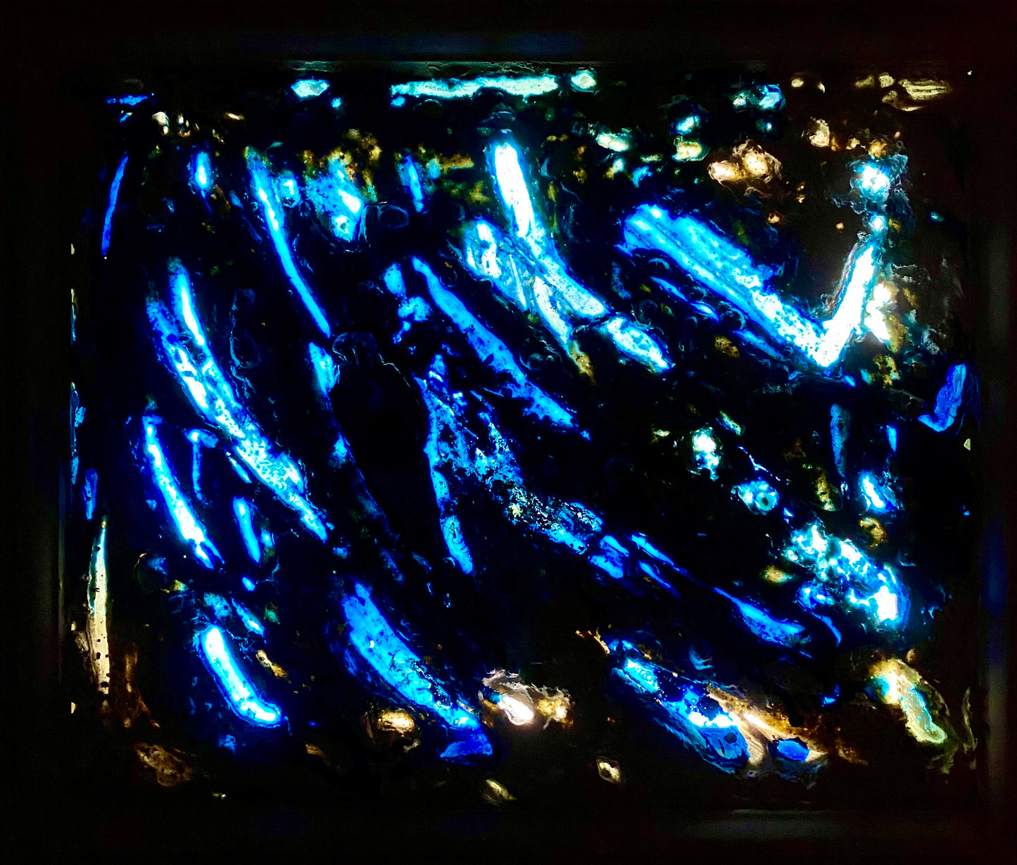 Medusa illuminata